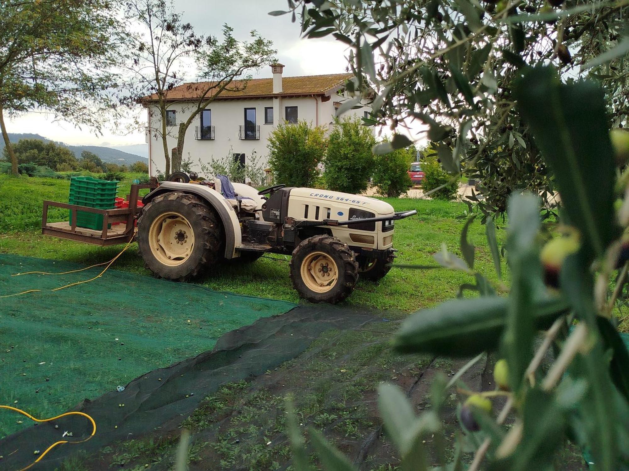 Agriturismo Casale Lisalola Hotel Sutri Buitenkant foto