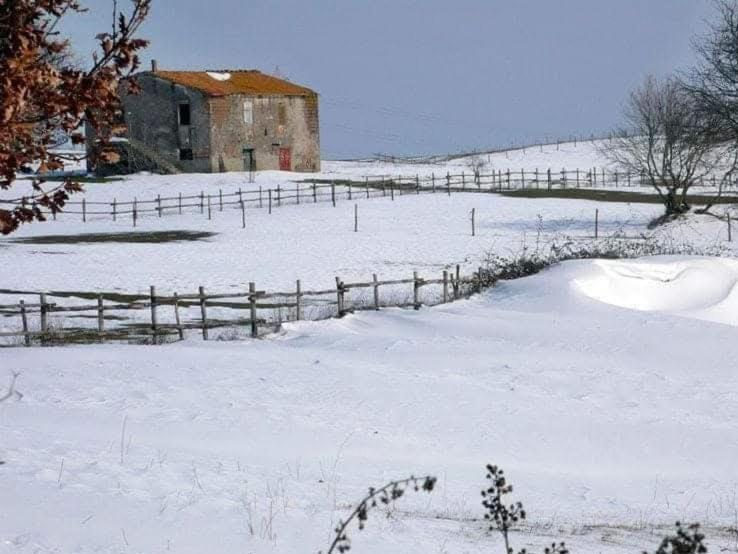 Agriturismo Casale Lisalola Hotel Sutri Buitenkant foto